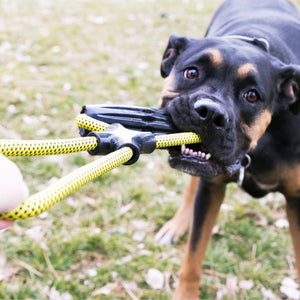 Kong Jaxx Infinity Tug Dog Toy - LARGE - Shopivet.com