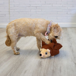 Kong Layerz Forage Hedgehog Enrichment Dog Toy - Medium - Shopivet.com
