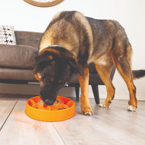 Kong Licks Mealtime Interactive Dog Feeder Large - Large - Shopivet.com