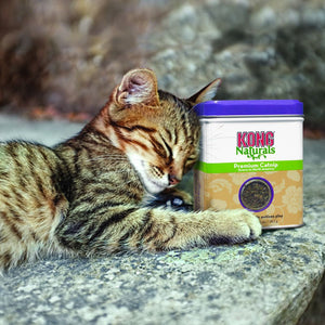 Kong Naturals Cat Premium Catnip - 2OZ - Shopivet.com