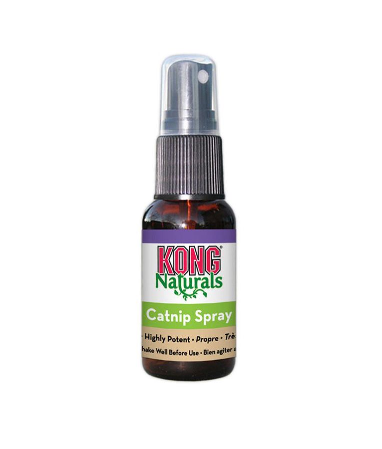 Kong Naturals Catnip Cat Spray 1oz - 1OZ - Shopivet.com