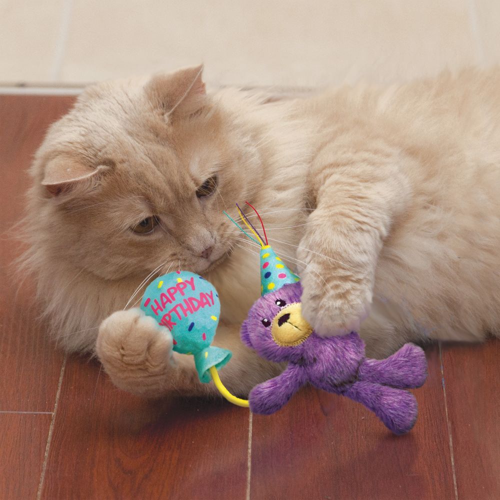 Kong Occasions Birthday Teddy Cat Toy - Shopivet.com