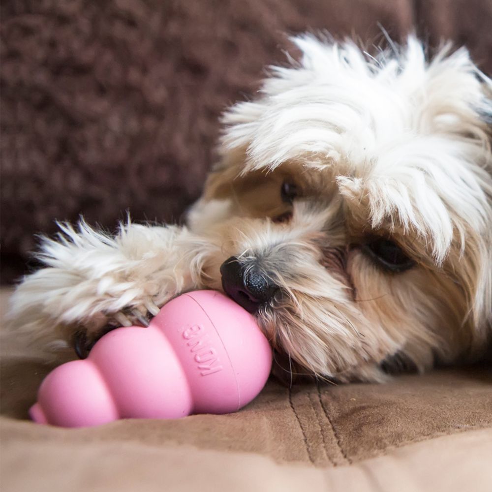 Kong Puppy Toy - M - Shopivet.com