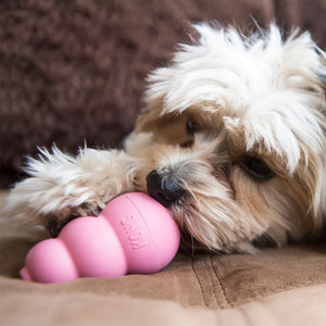 Kong Puppy Toy - M - Shopivet.com