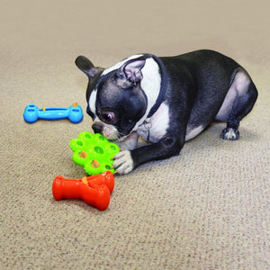 Kong Quest Wishbone Dog Toy - L - Shopivet.com