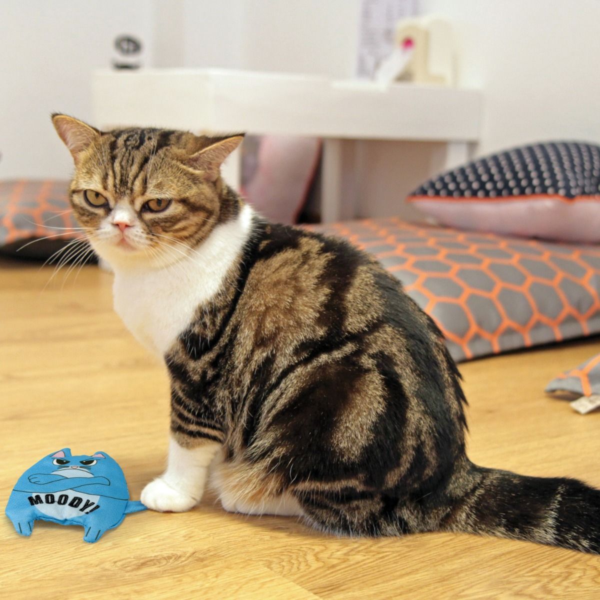 Kong Refillables Purrsonality Spoiled Cat Toy - Shopivet.com