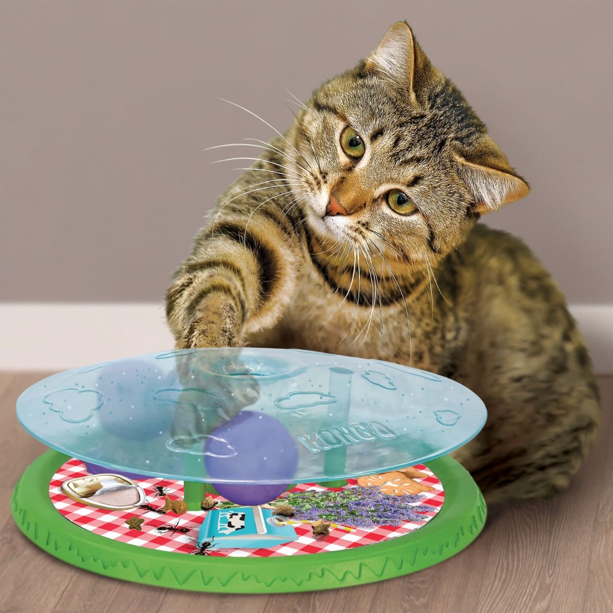 Kong Rewards Picnic Cat Toy - Shopivet.com