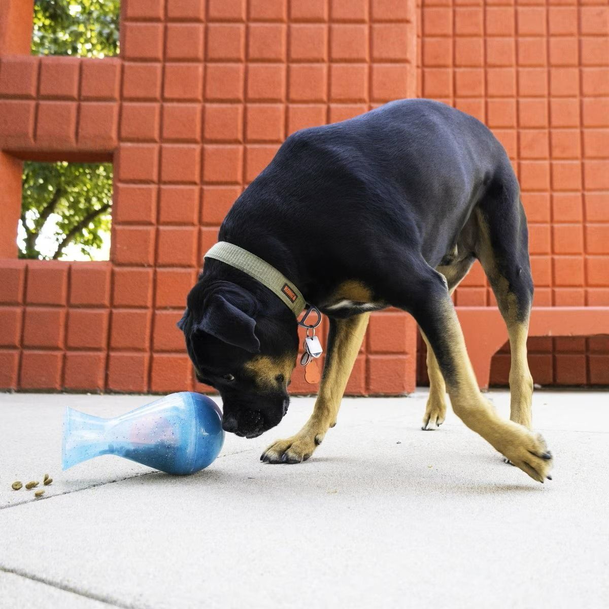 Kong Rewards Tipsy Interactive Dispenser Dog Toy - Large - Shopivet.com
