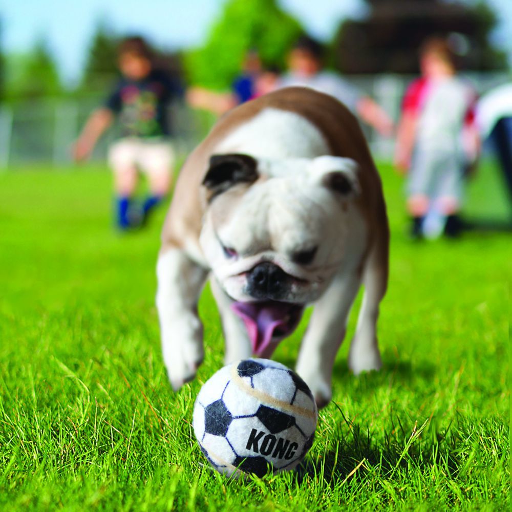 Kong Sport Balls Dog Toy - Large - Shopivet.com