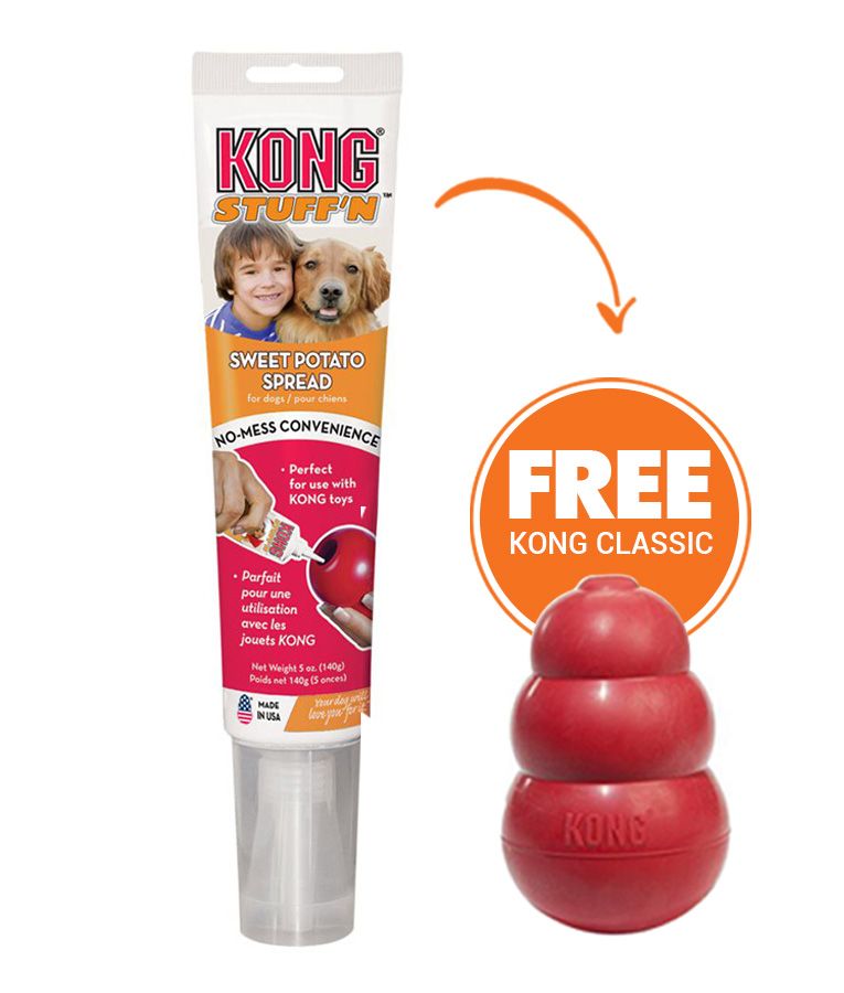 Kong Stuff'n Sweet Potato Spread Dog Treats 140g - 140g - Shopivet.com