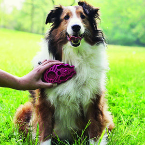 Kong Zoom Groom Raspberry Dog Brush - Shopivet.com