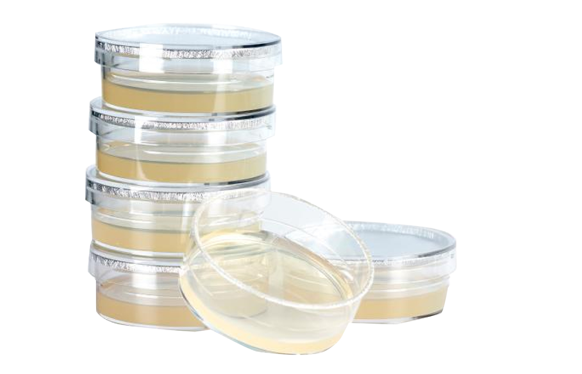 KRUUSE Dermatophyte test, 6/pk