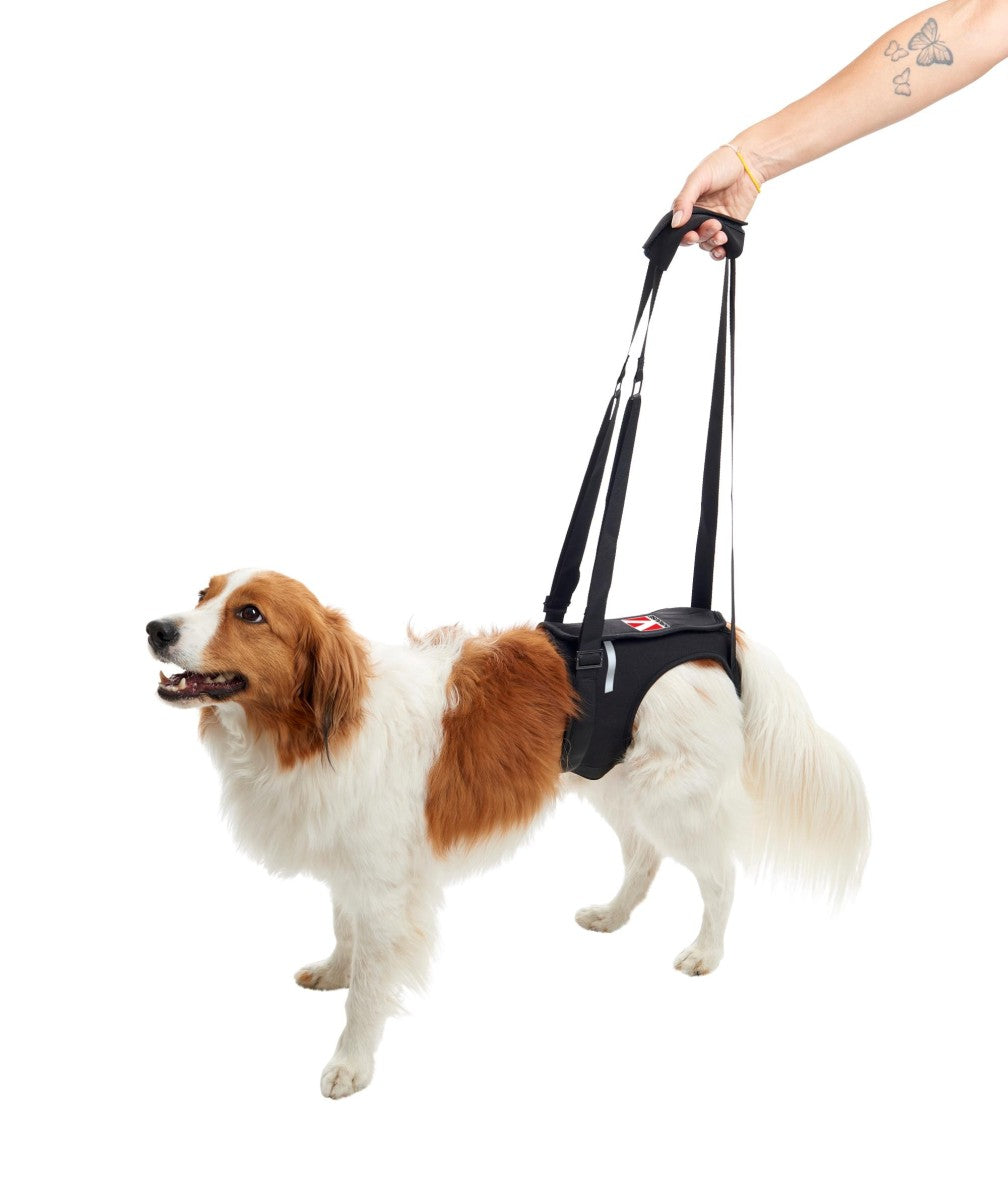 KRUUSE Rehab Lifting Harness, Hind Legs, M