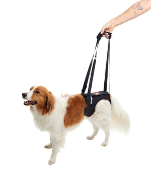 KRUUSE Rehab Lifting Harness, Hind Legs, M