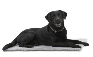 KRUUSE Vet Bed Grey, 75 x 50 cm