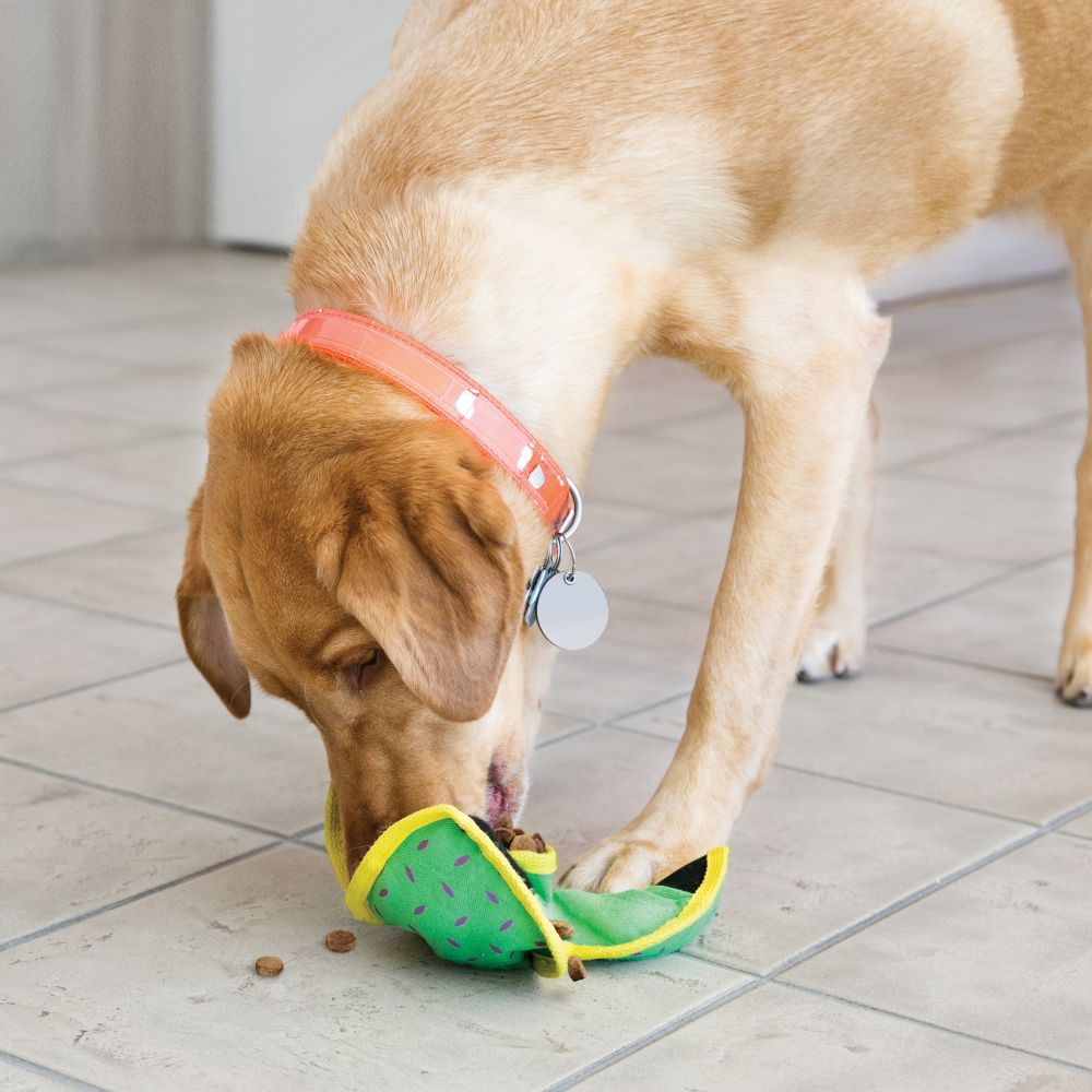 Kong Ballistic Hide 'n Treat Dog Toy - Medium