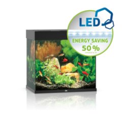 LIDO 120 LED - Shopivet.com