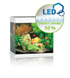 LIDO 120 LED - Shopivet.com