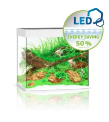 LIDO 200 LED - Shopivet.com