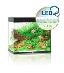 LIDO 200 LED - Shopivet.com