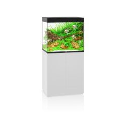 LIDO 200 LED - Shopivet.com