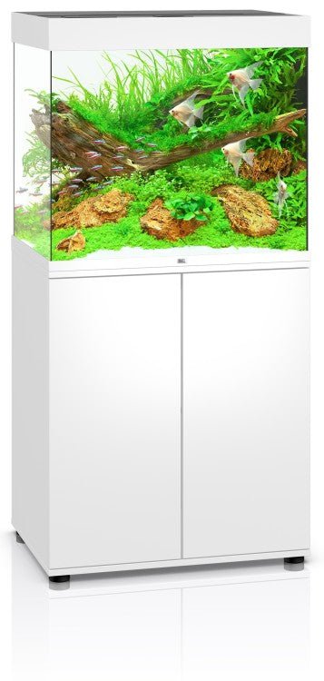 Lido 200 SBX Cabinet - Shopivet.com