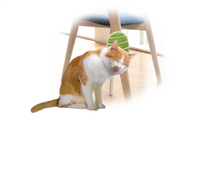 Lifestyle 4 Pets - 2 in 1 Groomer