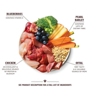 Lily's Kitchen Chicken and Turkey Casserole with Carrots Squash and Pearl Barley Wet Dog Food 150g P - 150g - Shopivet.com