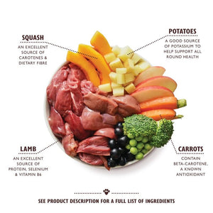 Lily's Kitchen Lamb Hotpot with Potatoes Squash and Carrots Wet Dog Food 400g Tin - 400g - Shopivet.com