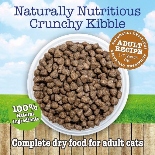 Little BigPaw British Chicken Adult Dry Cat Food - 1.5kg - Shopivet.com