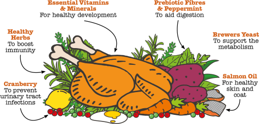 Little BigPaw British Chicken Dry Kitten Food 1.5kg - 1.5kg - Shopivet.com
