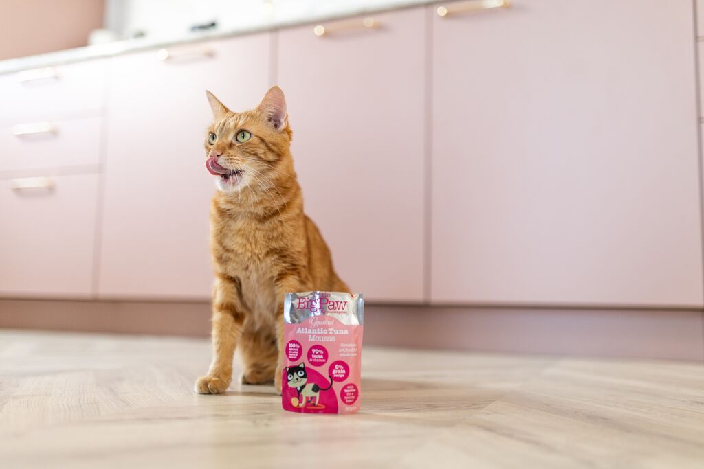 Little BigPaw Gourmet Atlantic Tuna Mousse Wet Cat Food 85g - 85G - Shopivet.com