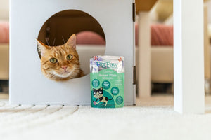 Little BigPaw Gourmet Ocean Fish Mousse Wet Cat Food 85g - 85G - Shopivet.com