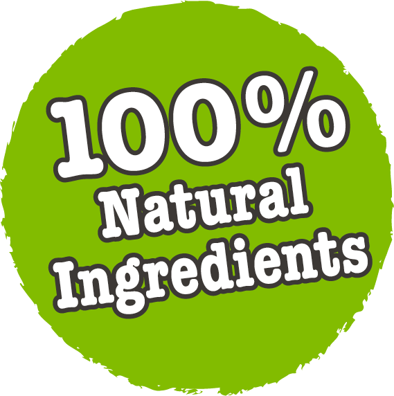 Little BigPaw Gourmet Tender Chicken Mousse Wet Cat Food 85g - 85G - Shopivet.com