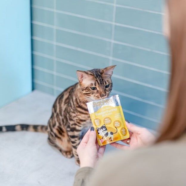 Little BigPaw Gourmet Tender Turkey Mousse Wet Cat Food 85g - 85G - Shopivet.com