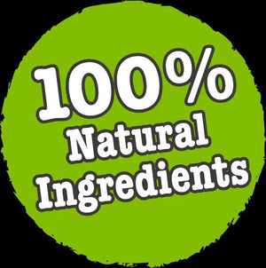 Little BigPaw Steamed Atlantic Salmon & Vegetables Dinner Wet Dog Food 150g - 150g - Shopivet.com