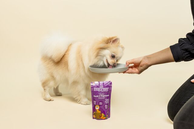 Little BigPaw Tender Duck & Vegetable Dinner Wet Dog Food 150g - 150g - Shopivet.com