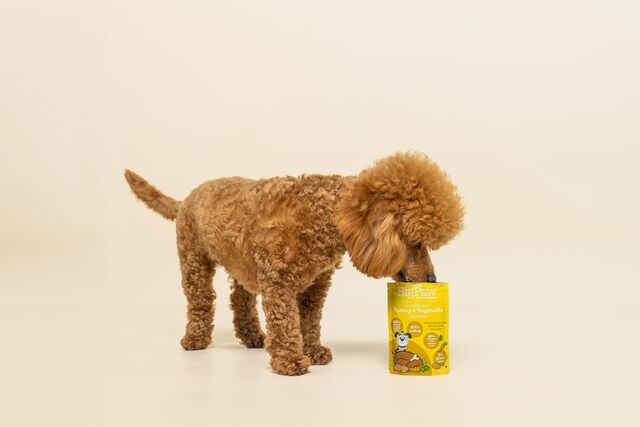 Little BigPaw Traditional Turkey & Vegetable Dinner Wet Dog Food 150g - 150g - Shopivet.com