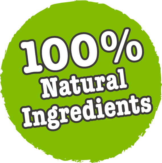 Little BigPaw Turkey Adult Wet Dog Food 390g - 390G