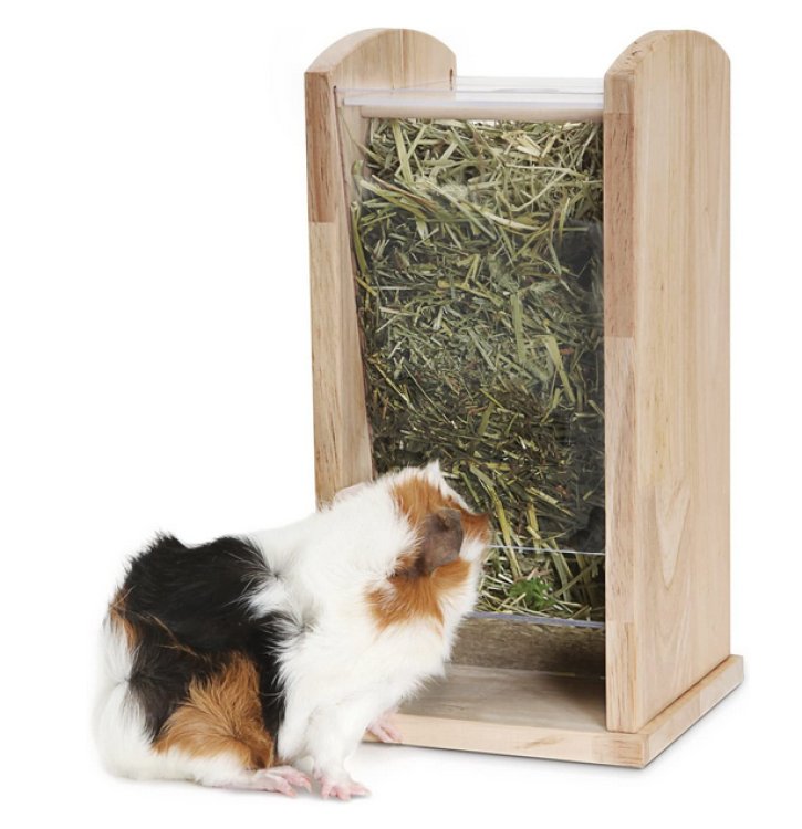 Living World Green Wood & Acrylic Hay Rack, Medium - Shopivet.com