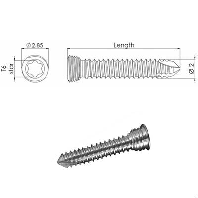 Locking Star Screw 2.0/30mm - Shopivet.com