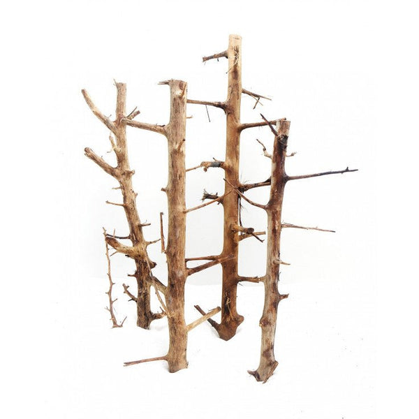 LONG HANDS WOOD - MEDIUM / 30-45CM / BOX - Shopivet.com