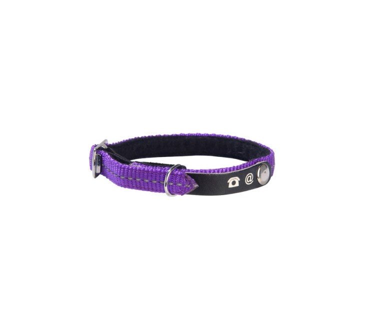 Lost Cat Collar - Shopivet.com