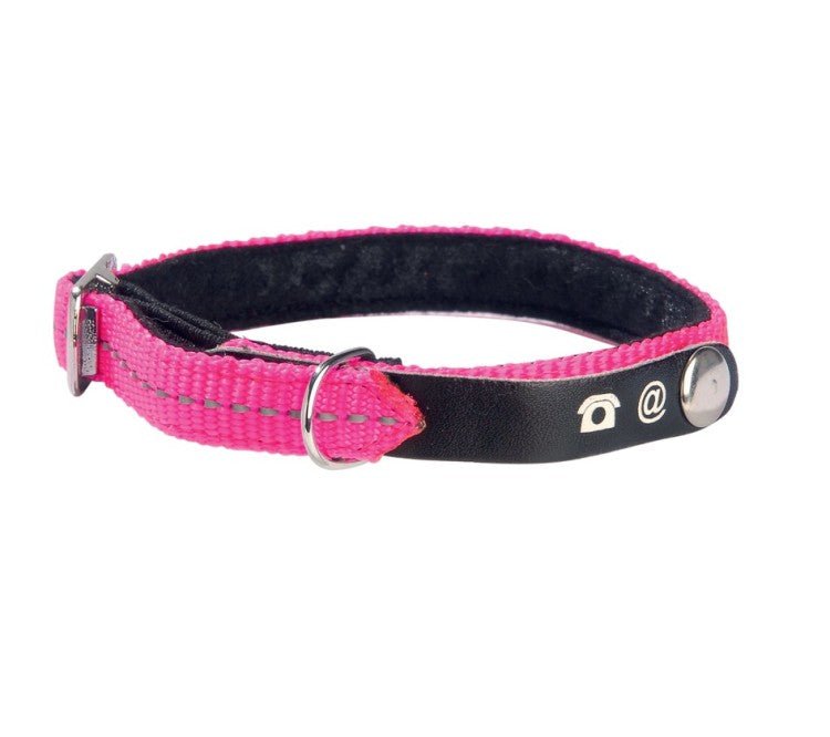 Lost Cat Collar - Shopivet.com