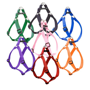 Large Dog Basics Step In Harness 1″ - 19"-28" - green