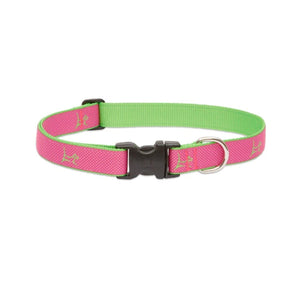 LupinePet 1/2″ (Width) 8 - 12″(Neck) Adjustable Collar for Small Dogs – Bermuda Pink - Shopivet.com