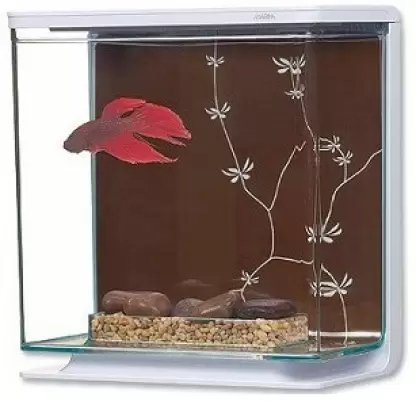 MARINA BETTA KIT - Shopivet.com