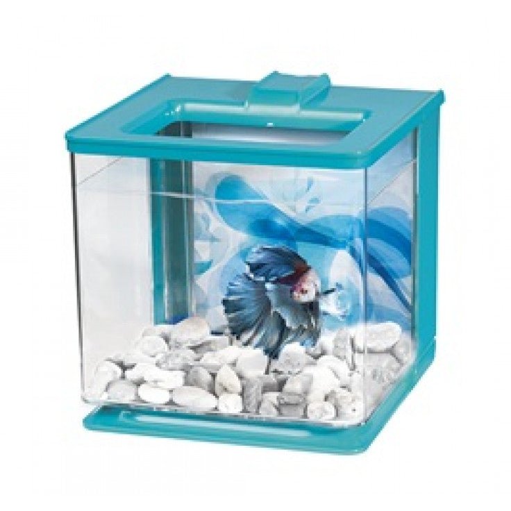 MARINA BETTA KIT 2.5L - Shopivet.com