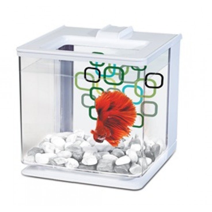 MARINA BETTA KIT 2.5L - Shopivet.com