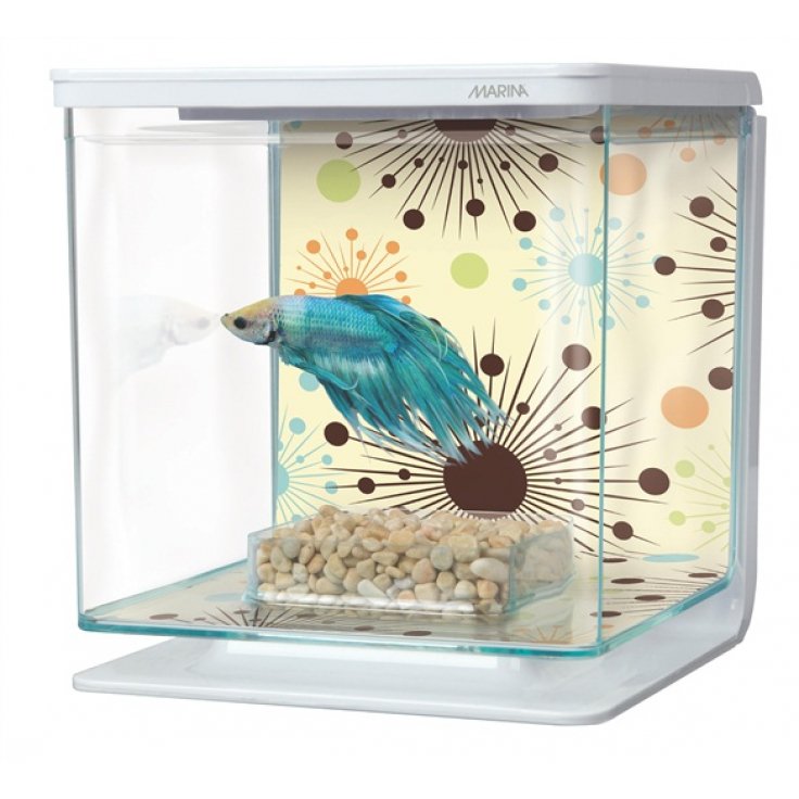 MARINA BETTA KIT 2L - Shopivet.com